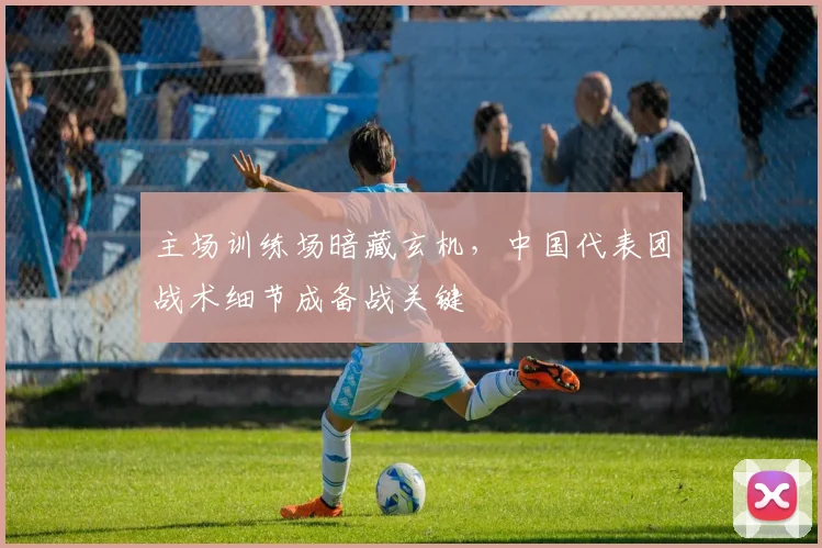 主场训练场暗藏玄机，中国代表团战术细节成备战关键