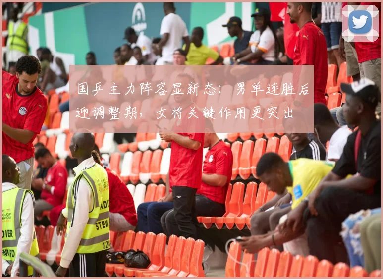 国乒主力阵容显新态：男单连胜后迎调整期，女将关键作用更突出