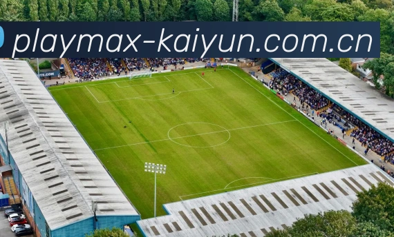 Kaiyun APP 界面演示